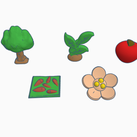 Apple tree life cycle elements